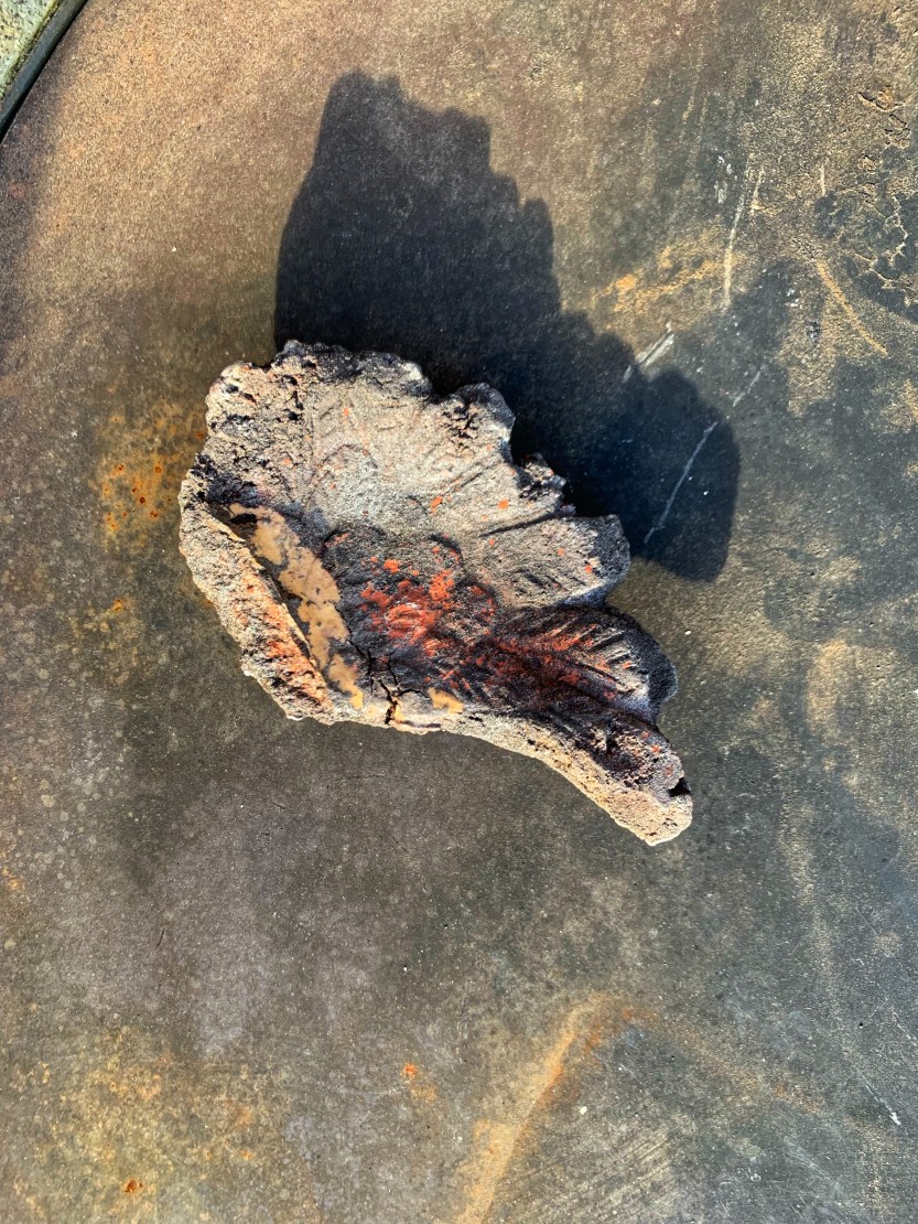 6DCE0F7A-740F-4812-AB5A-9FEDE7A6EB92